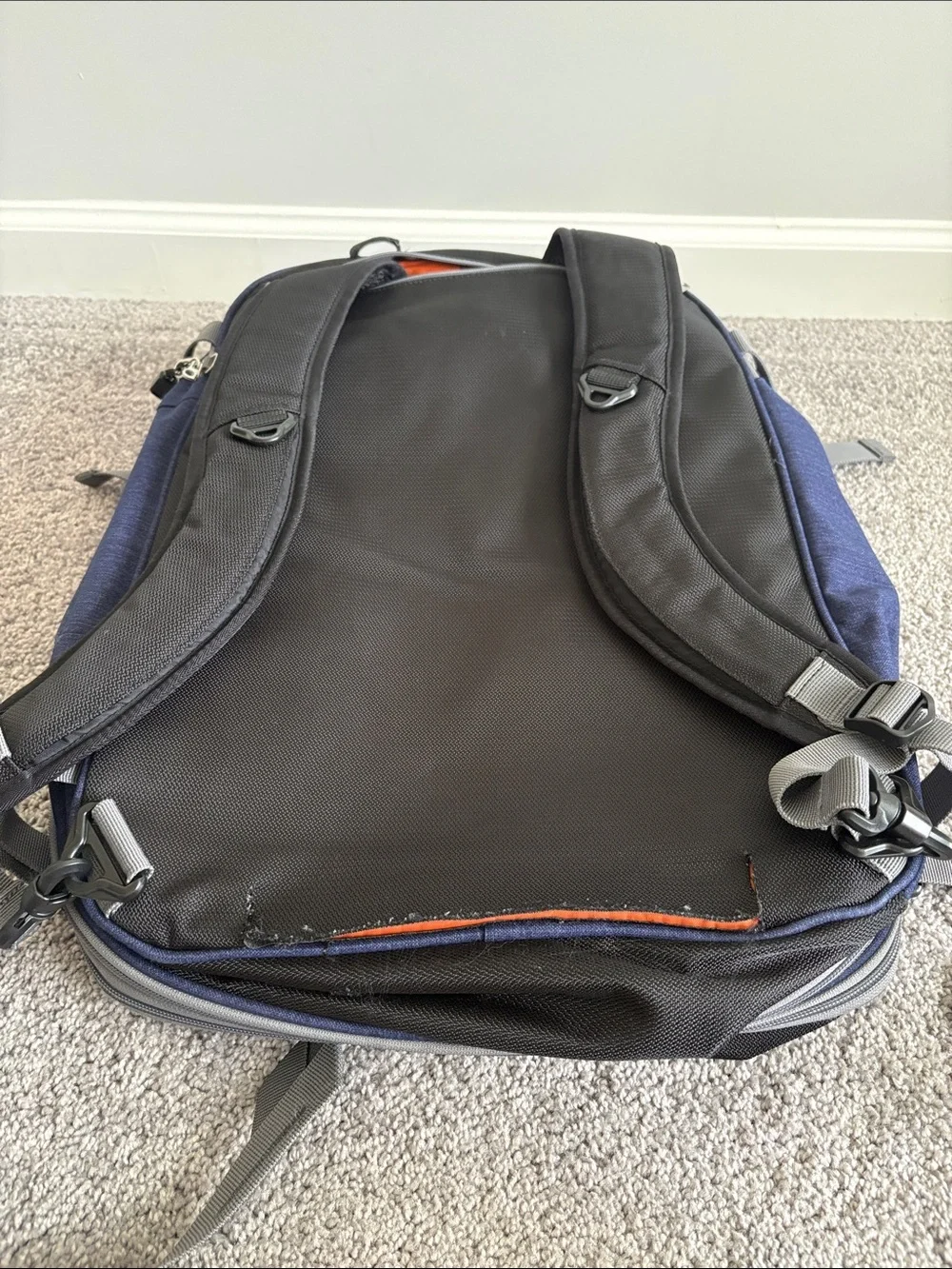 eBags Mother Lode Travel Backpack Convertible Expandable Luggage Bag